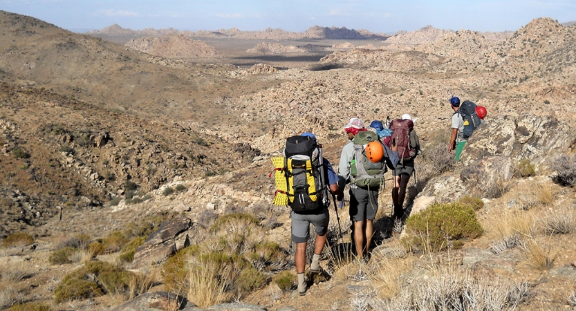 a group of people traverse a desert landscape
